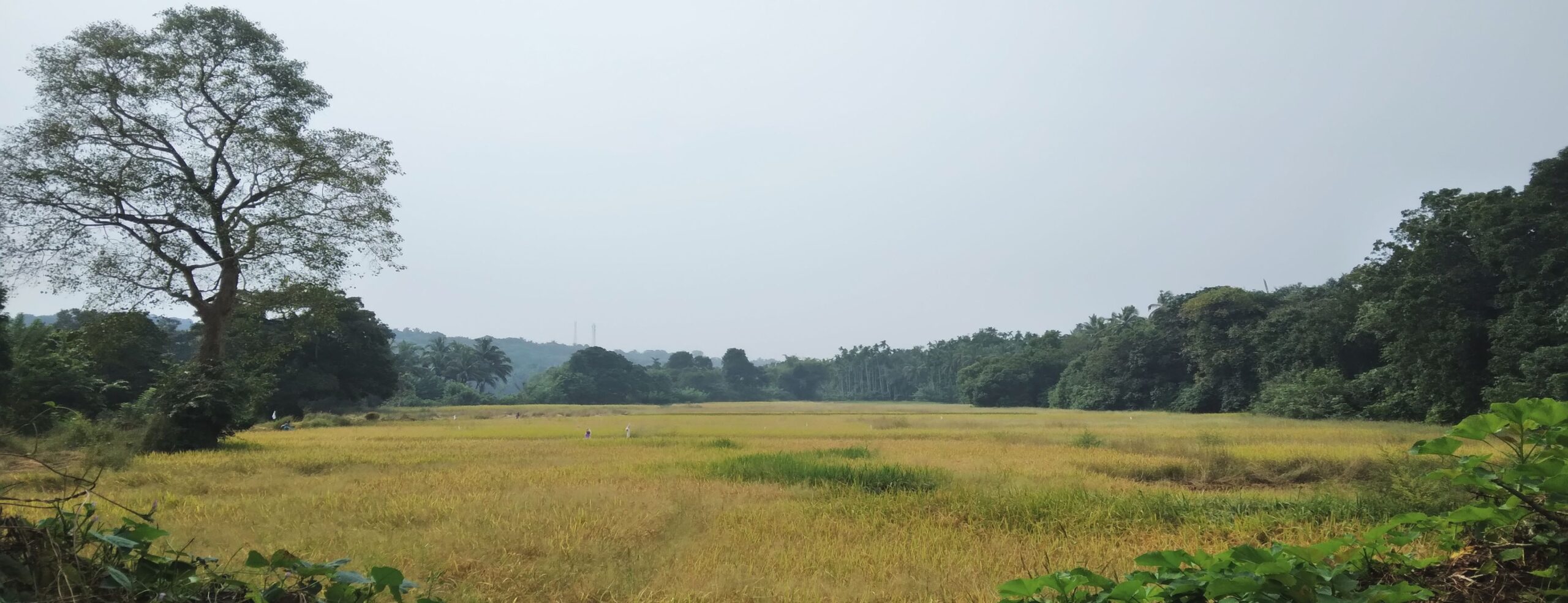 10 - Landscape pic edited