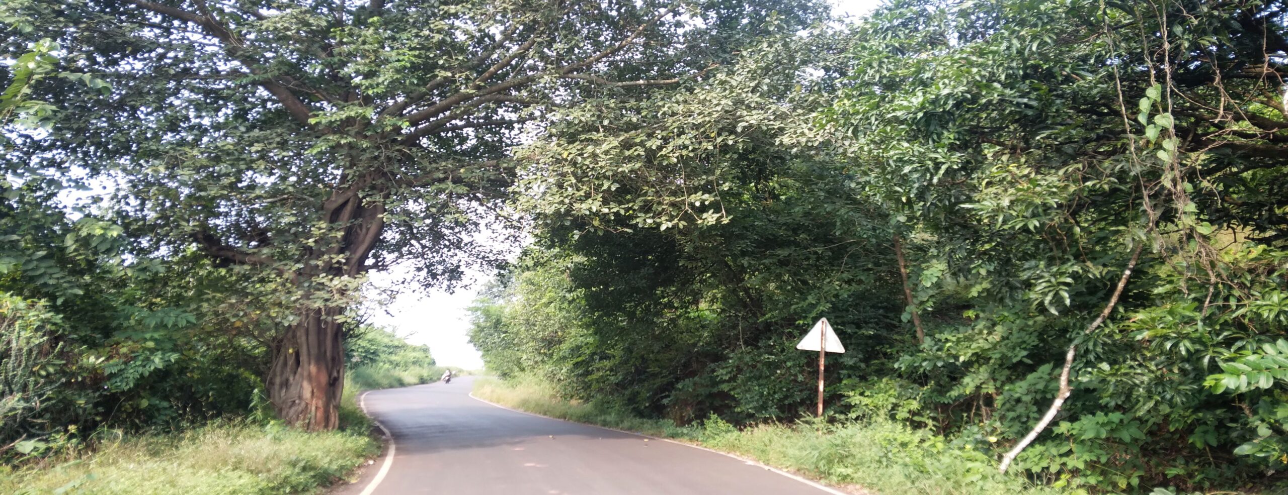 3 - Landscape pic edited