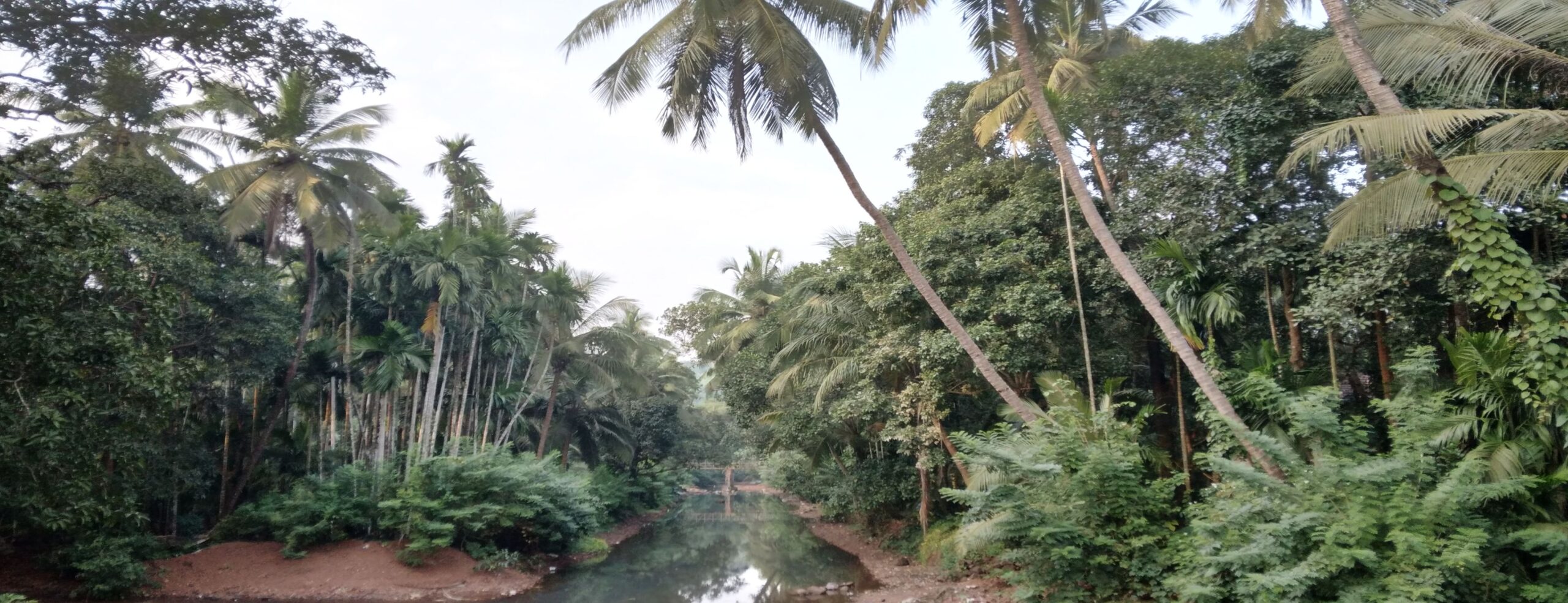 5 - Landscape pic edited