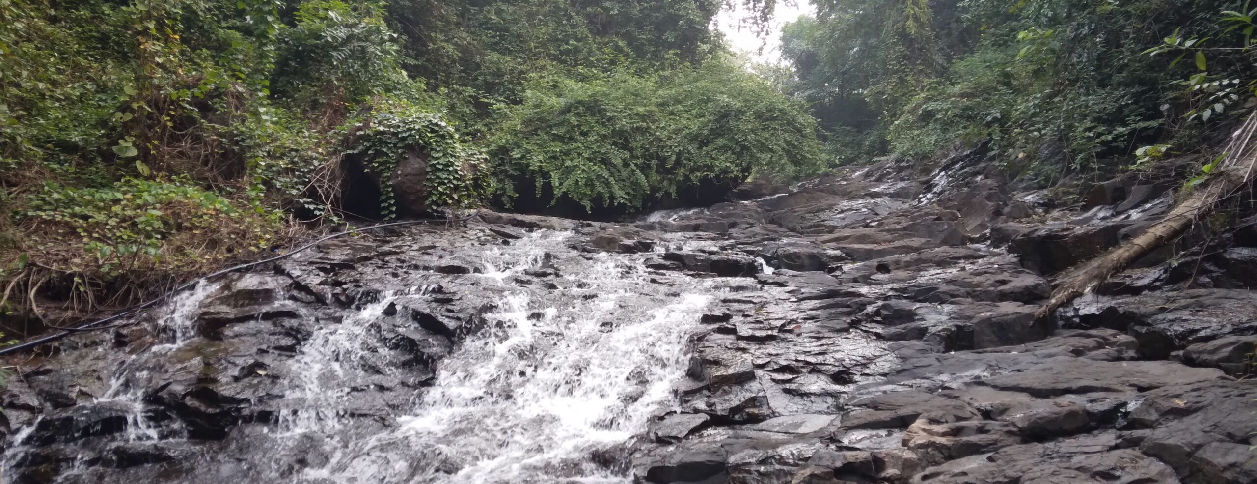 7 - Landscape pic edited