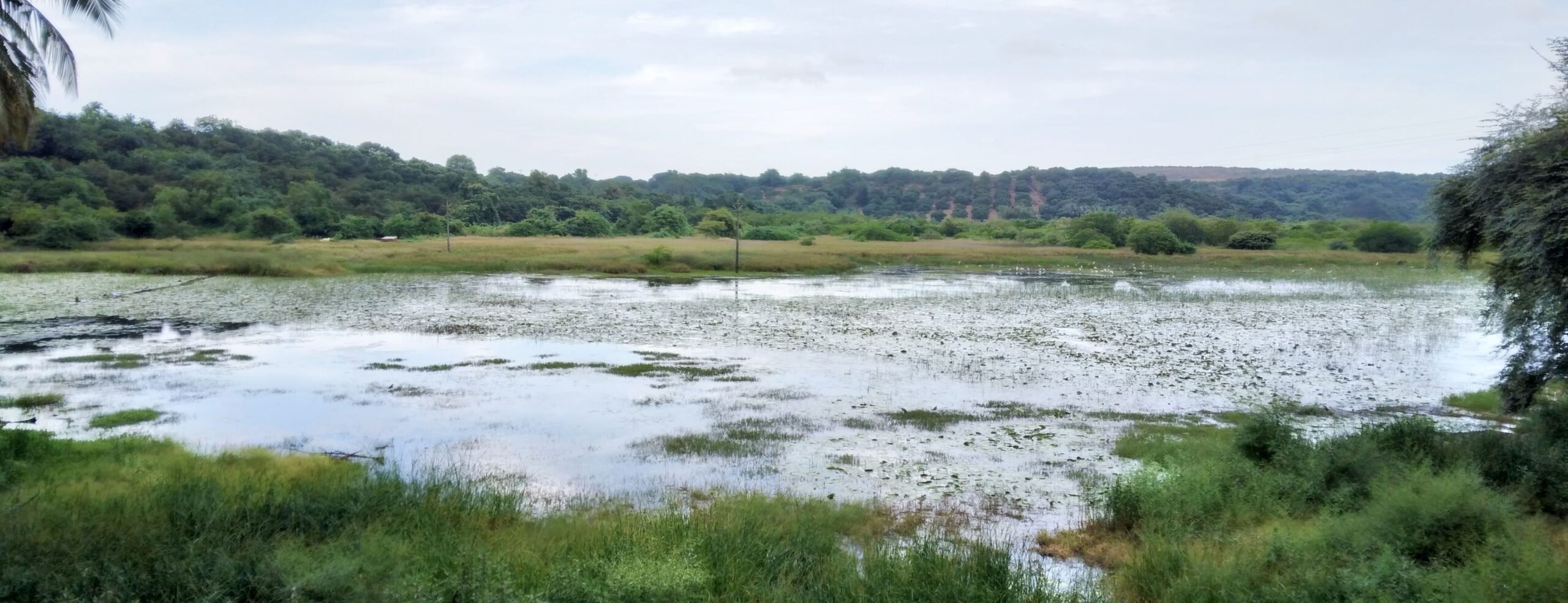 8 - Landscape Pic edited