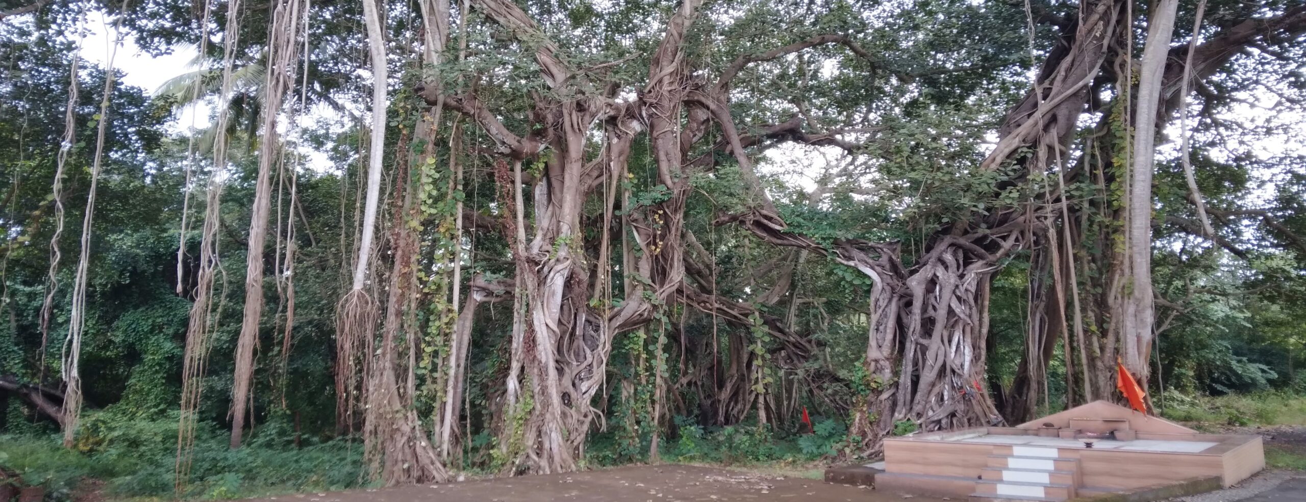 9 - Landscape pic edted